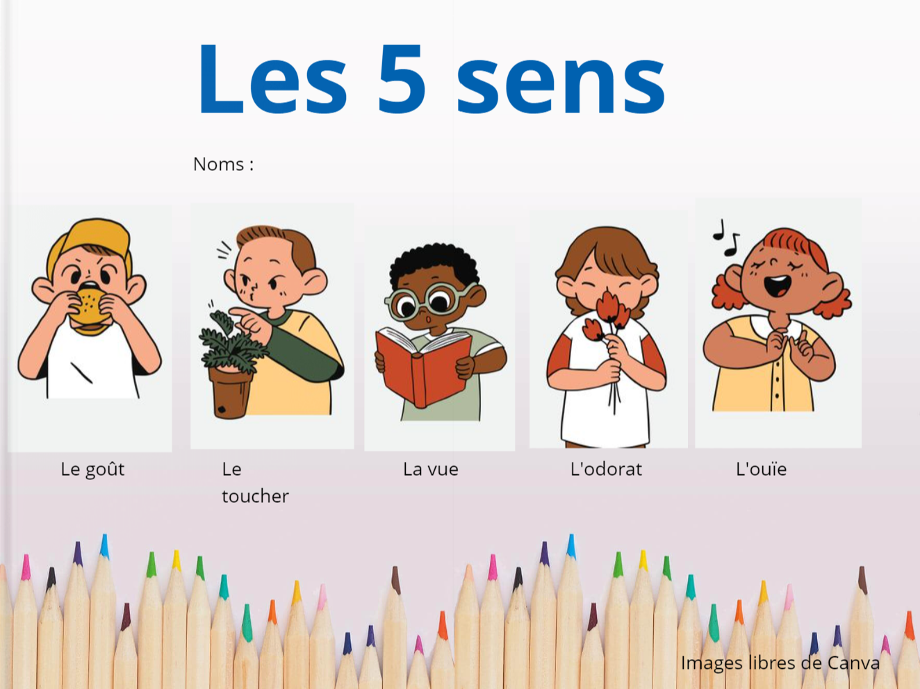 Page couverture du livres « Les 5 sens »