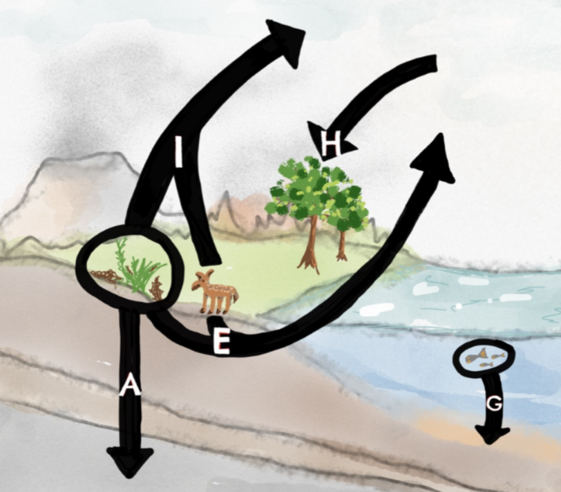 image qui identifie le thème du cycle du carbone