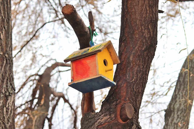 Cabane pour les oiseaux