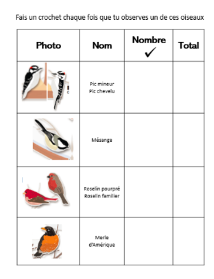 Tableau avec photo de 4 oiseaux, le nom, une colonne pour dénombrer et faire le total