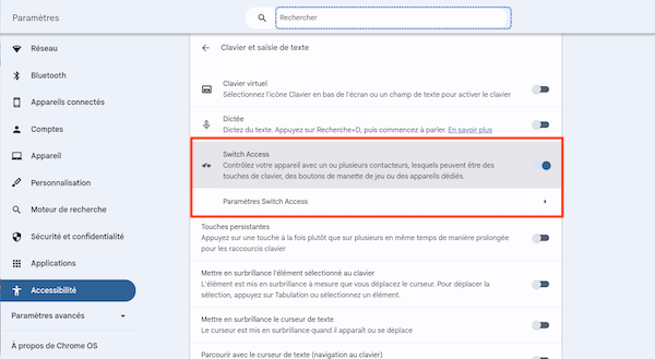 Capture d'écran montrant où activer Switch Access