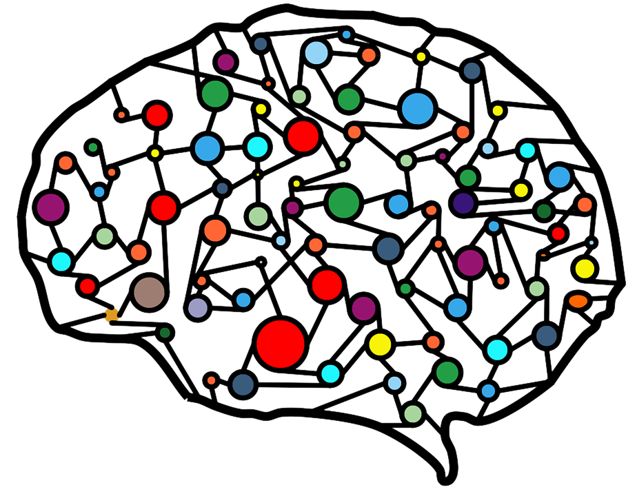 Image représentant le cerveau humain