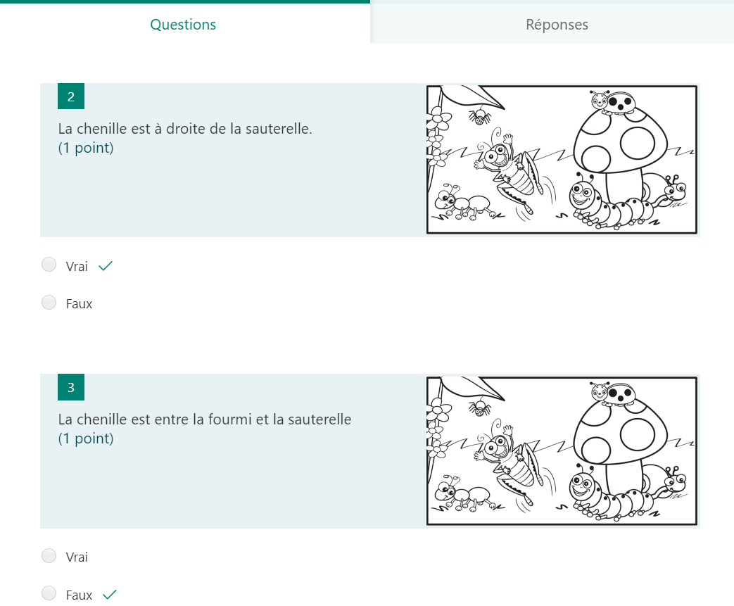 image d'un formualire vrai ou faux 2